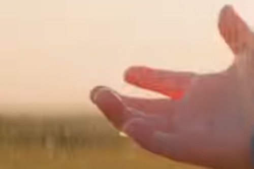 FERTAGRO / AXION / LLUVIA